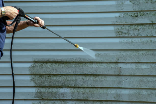 Best Driveway Pressure Washing  in Linthicum, MD